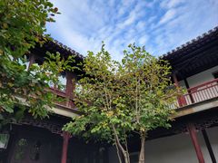 -王德传茶庄(苏州探花府店)