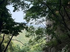 -大岭沟猕猴桃谷风景区