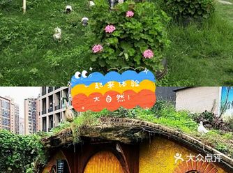 一起来体验有趣的农场乐园！