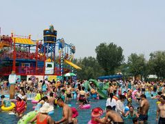 android_upload_pic-秦皇岛乐岛海洋王国