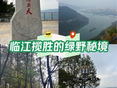 -铁山坪森林公园