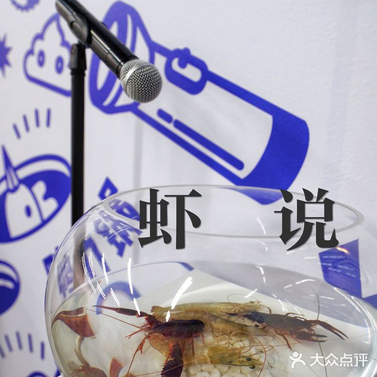 北京新展｜就不正经🤪脑洞大开谐音梗艺术展