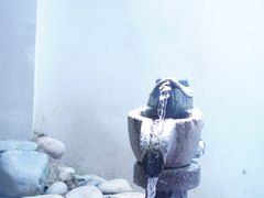 -云涛森林温泉