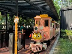 -黄海国家森林公园