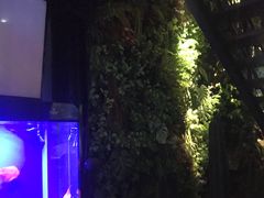 -柒Lounge(三里屯店)