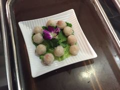 鱼丸-金海阁海鲜火锅