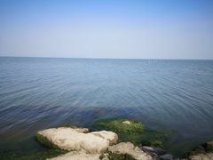 -梦缘水乡·湖景餐厅