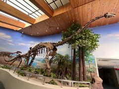 -延庆地质公园博物馆