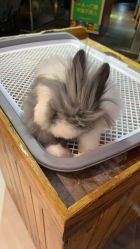 -未来动物城主题公园(正弘城店)