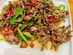 猫爪菇炒牛肉-下梅人家土菜馆(历史文化餐厅度假区店)