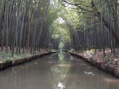 -同里国家湿地公园