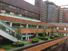 -香港大学
