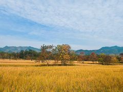 -塔川景区
