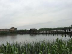 -溱湖国家湿地公园