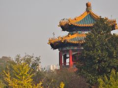 -重庆园博园