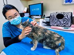 -美联众合动物医院·24h京西诊疗中心