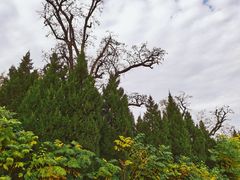 -汉长安城未央宫国家考古遗址公园