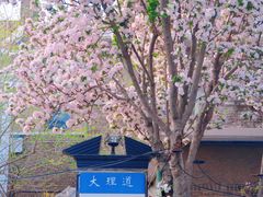 -天津五大道文化旅游区