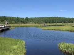 -塞罕坝国家级自然保护区