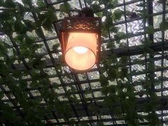 -阿鹏故事云南野生菌火锅(人民路店)