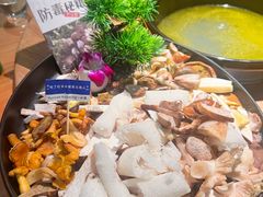 -一朵菌·野生菌探索家火锅(南亚店)