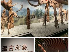 -南京博物院