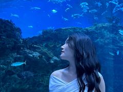 -海合安成都极地海洋公园