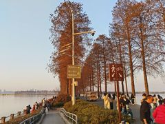 -东湖落雁景区
