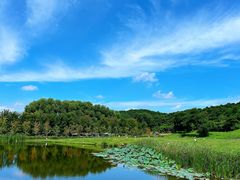 -沈阳森林动物园