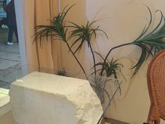 -风吟仟茶(河街店)