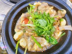 -楠波炭炉鸡煲馆(桥北店)