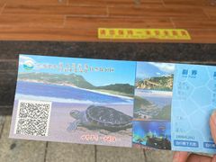 -广东惠东海龟国家级自然保护区