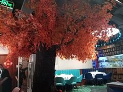 -雲蜀龙阁·金牌水煮鱼(方庄店)