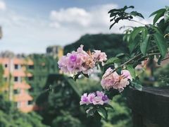 -东部华侨城