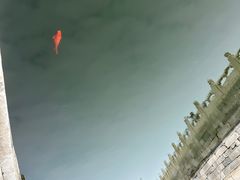 -故宫钟表馆