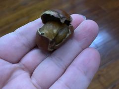 -栗子侠奶皮子糖葫芦(长宁店)