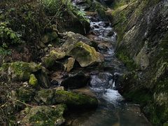 -太平万花山景区