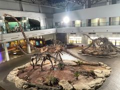-自贡恐龙博物馆