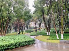 -重庆市江北嘴中央商务区中央公园