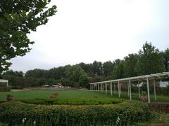 -意大利农场度假村