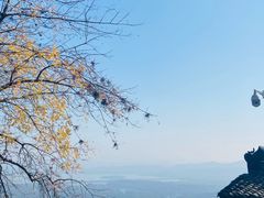 -灵顺寺
