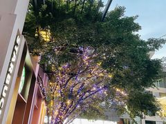 -茶颜悦色(花园道店)