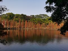 -三水森林公园