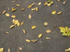 -浙江大学(玉泉校区)