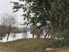 -白鹭湾湿地公园