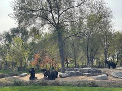 -北京野生动物园