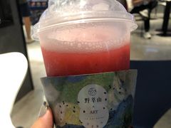 -野萃山·潮汕厚果汁(十亩地店)