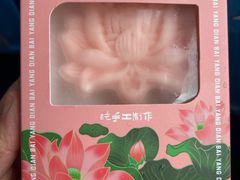 -白洋淀景区