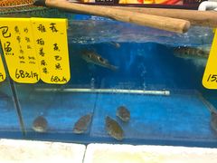 水产区-飞尝蚝·顺德菜·鱼生(顺德总店)