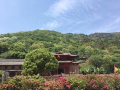 -木兰云雾山